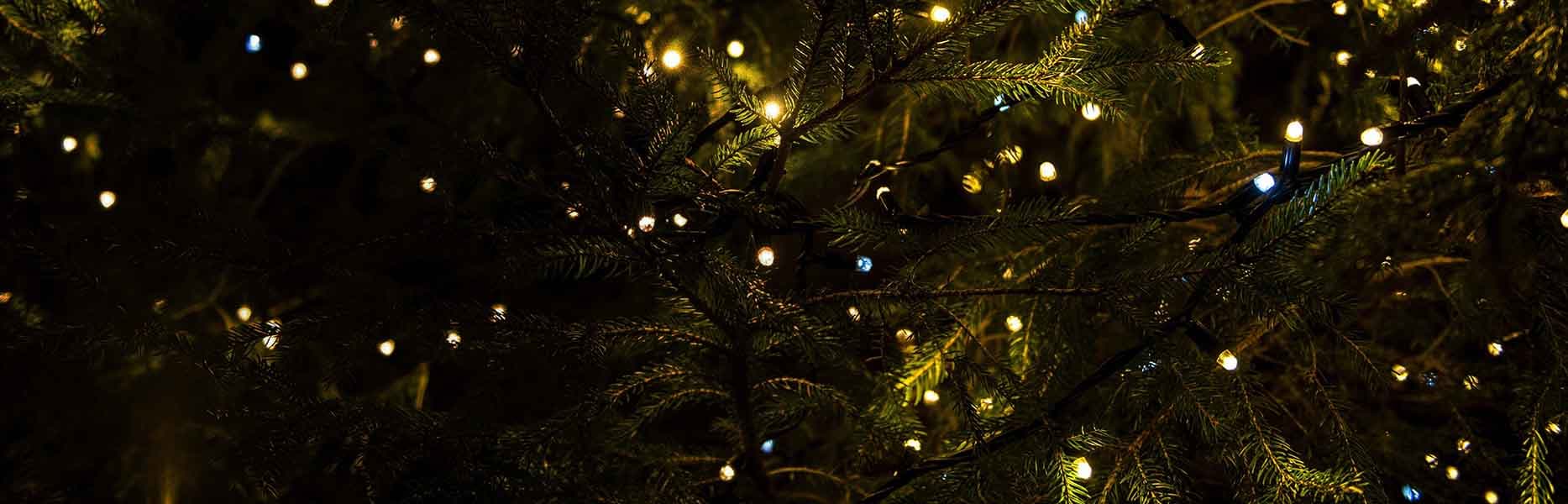 Bild på julgran med belysning