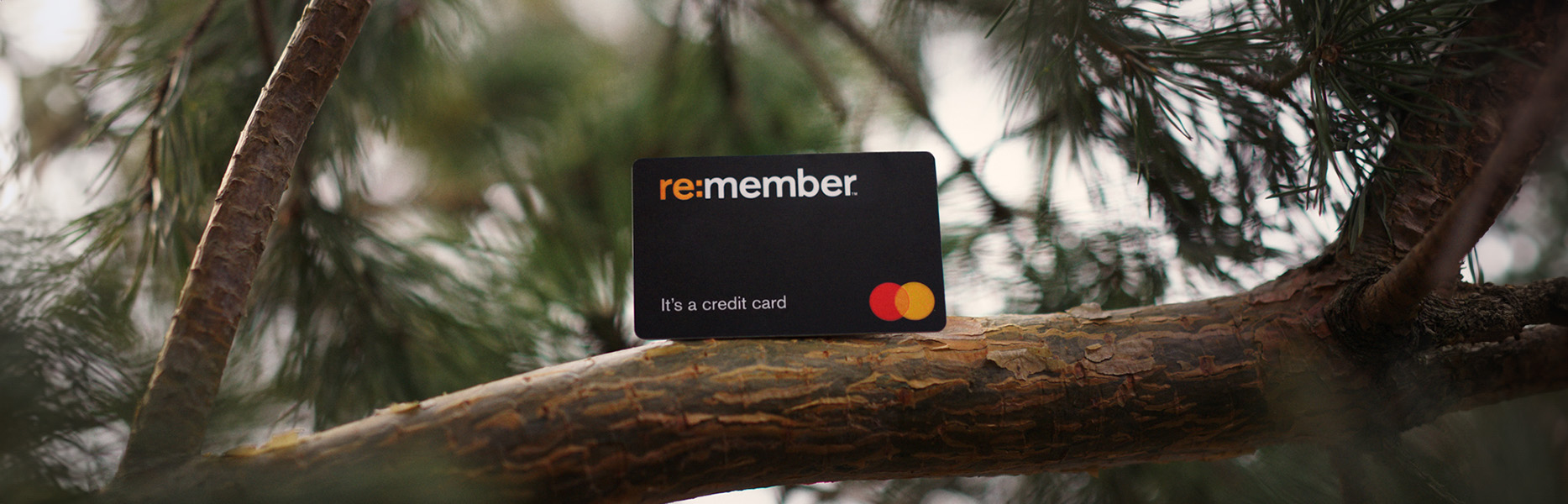 creditcard.jpg
