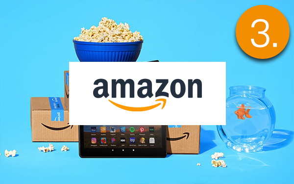 Amazon-3 600x375.jpg