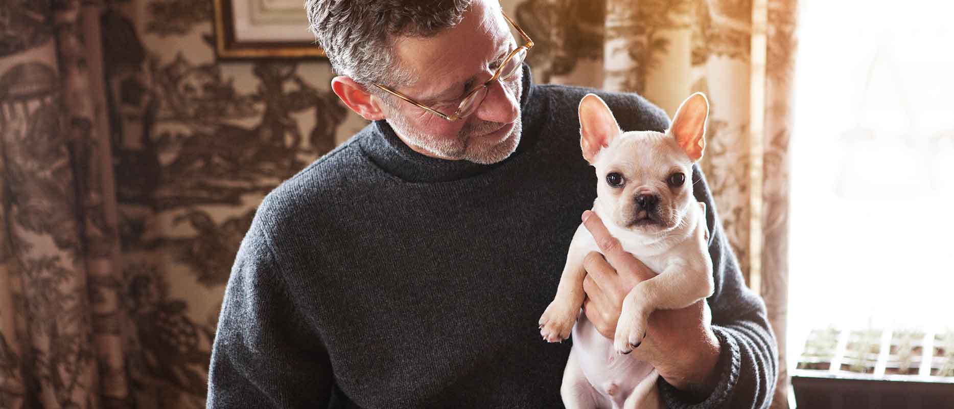 billigaste-privatlan-hund.jpg